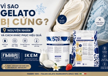 Vì sao Gelato bị cứng? 9 nguyên nhân và cách khắc phục để Gelato mịn dẻo, dễ múc